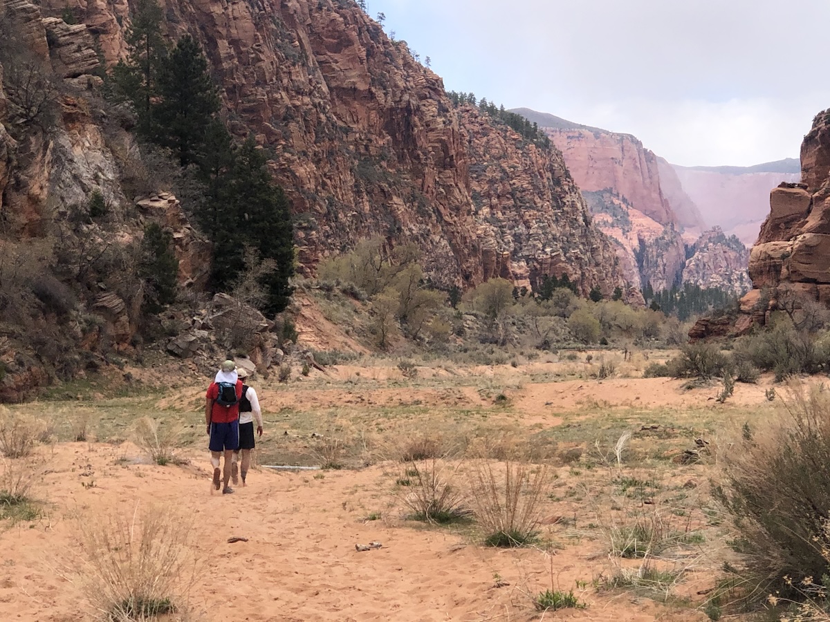 An image of two distance runners in Zion National Park’s Hop Valley